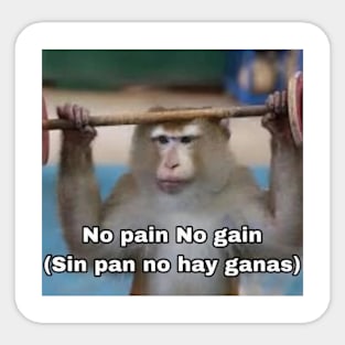 No Pain No Gain Worst Translation Ever Sticker